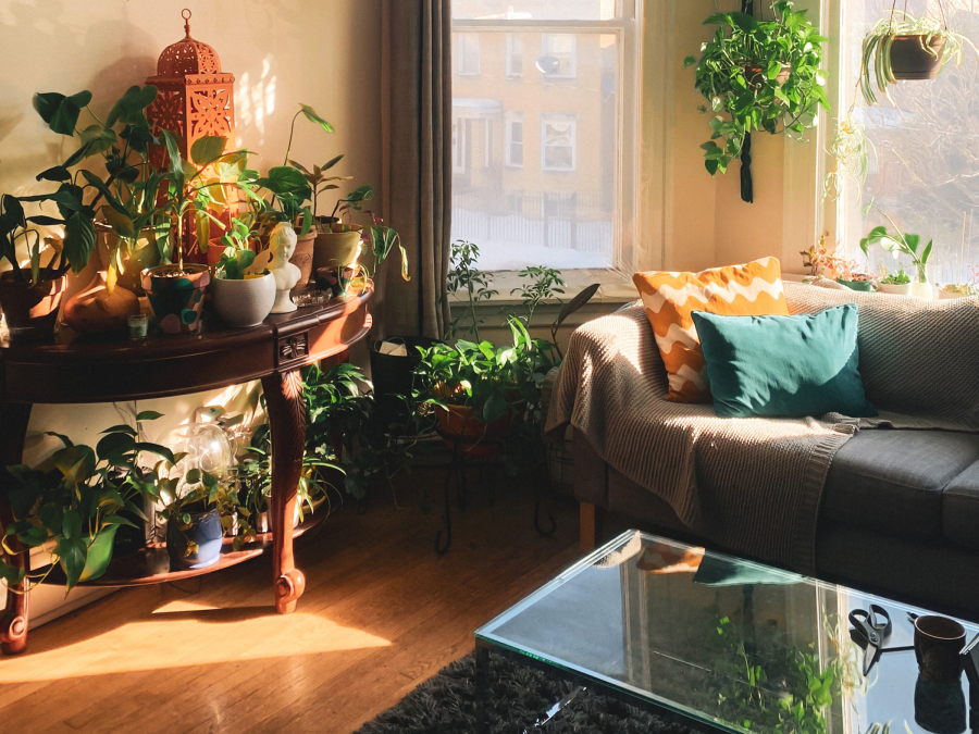 Renters Insurance