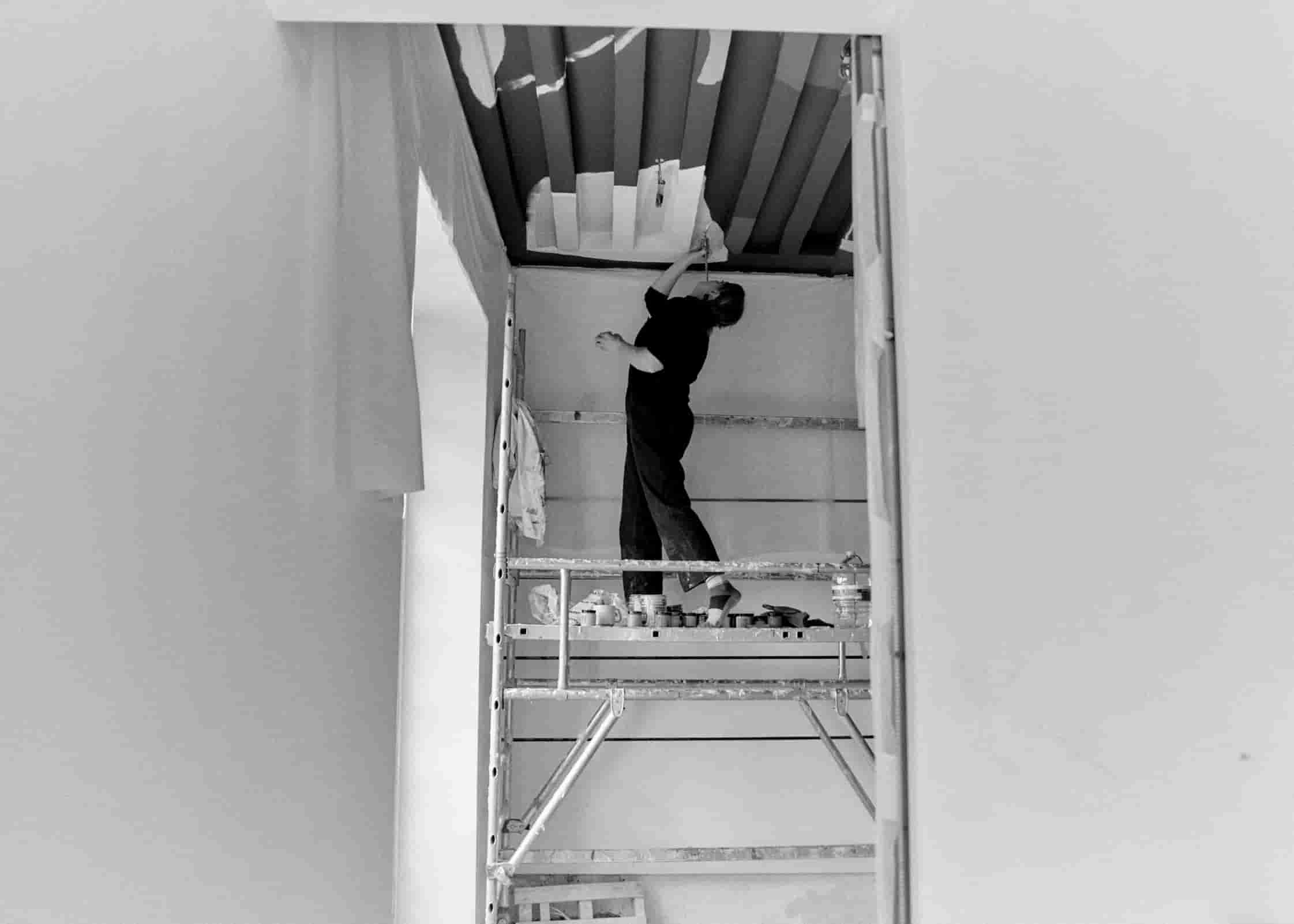 Place De Vosges - private residence commission to paint historical ceiling