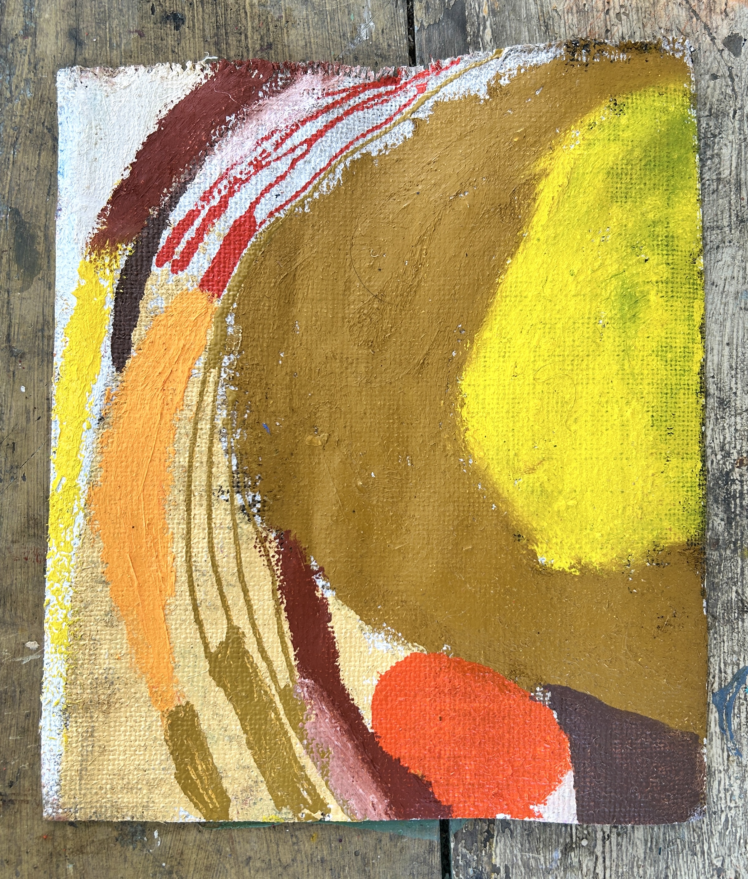 Golden - 2026 - 20.5 x 22 cm oil and acrylic on linen  €350 