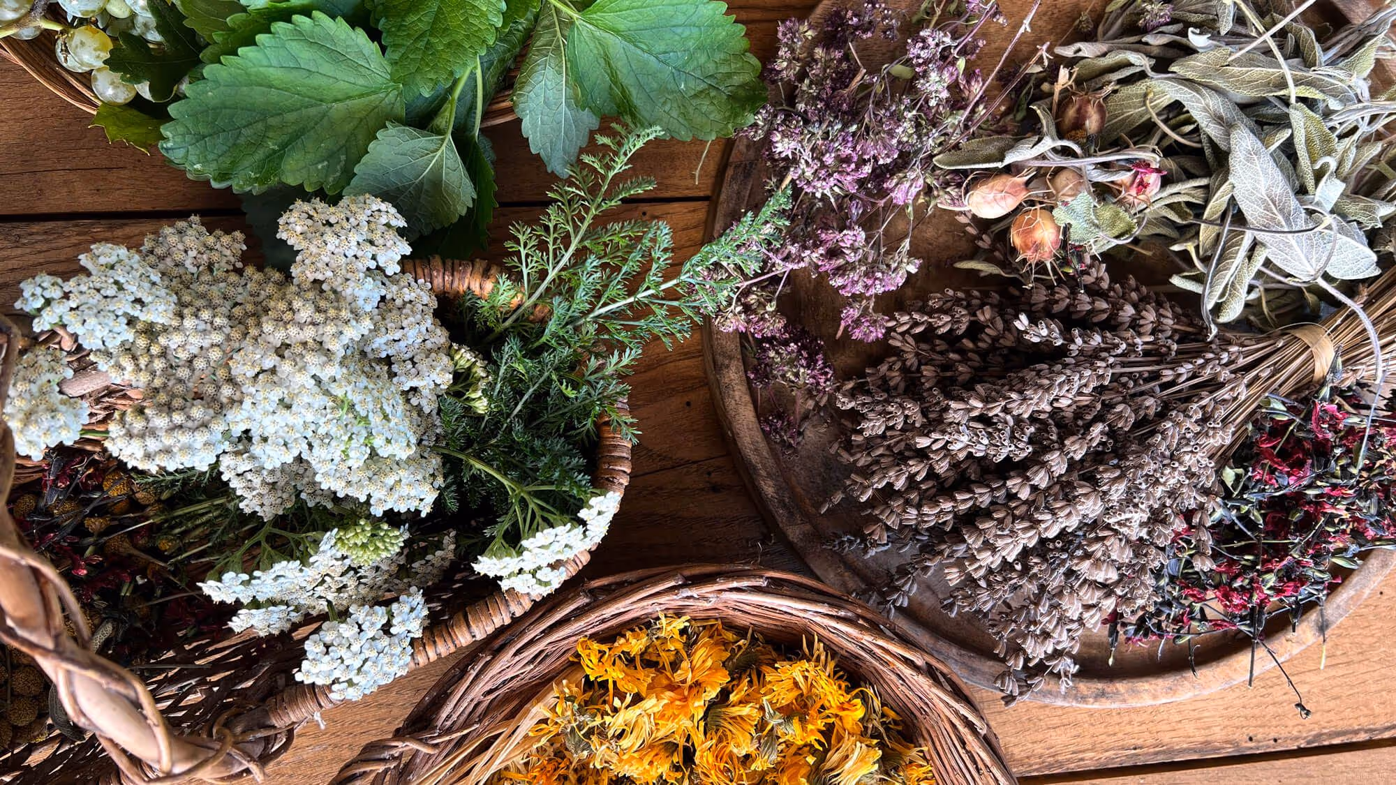 Assorted dried herbs and medicinal plants used in traditional herbal medicine at Integrative Health Group
