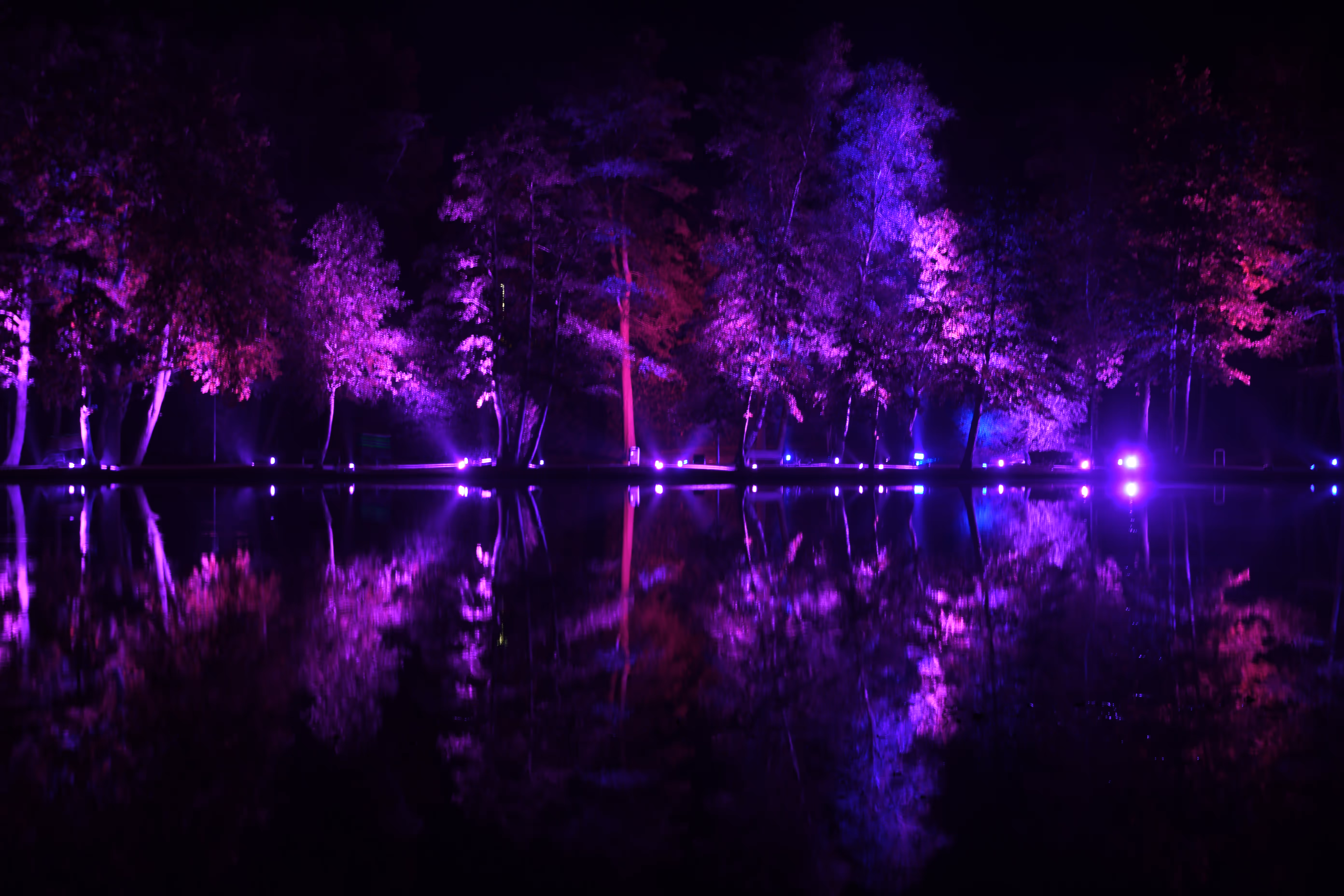 Concert lighting rig with beams and color washes operated by True Productions
