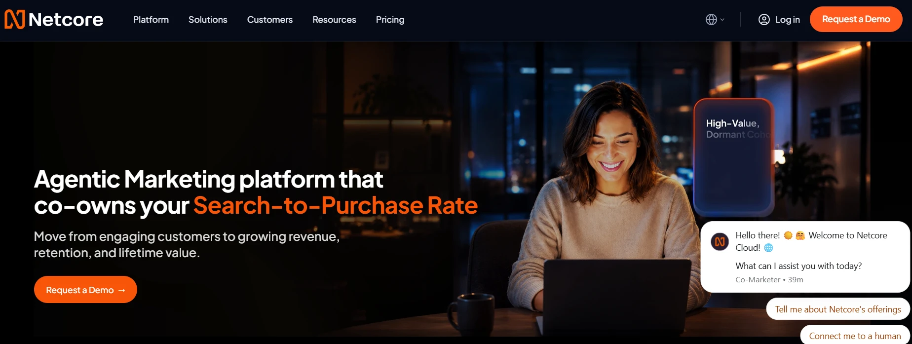 Netcore homepage