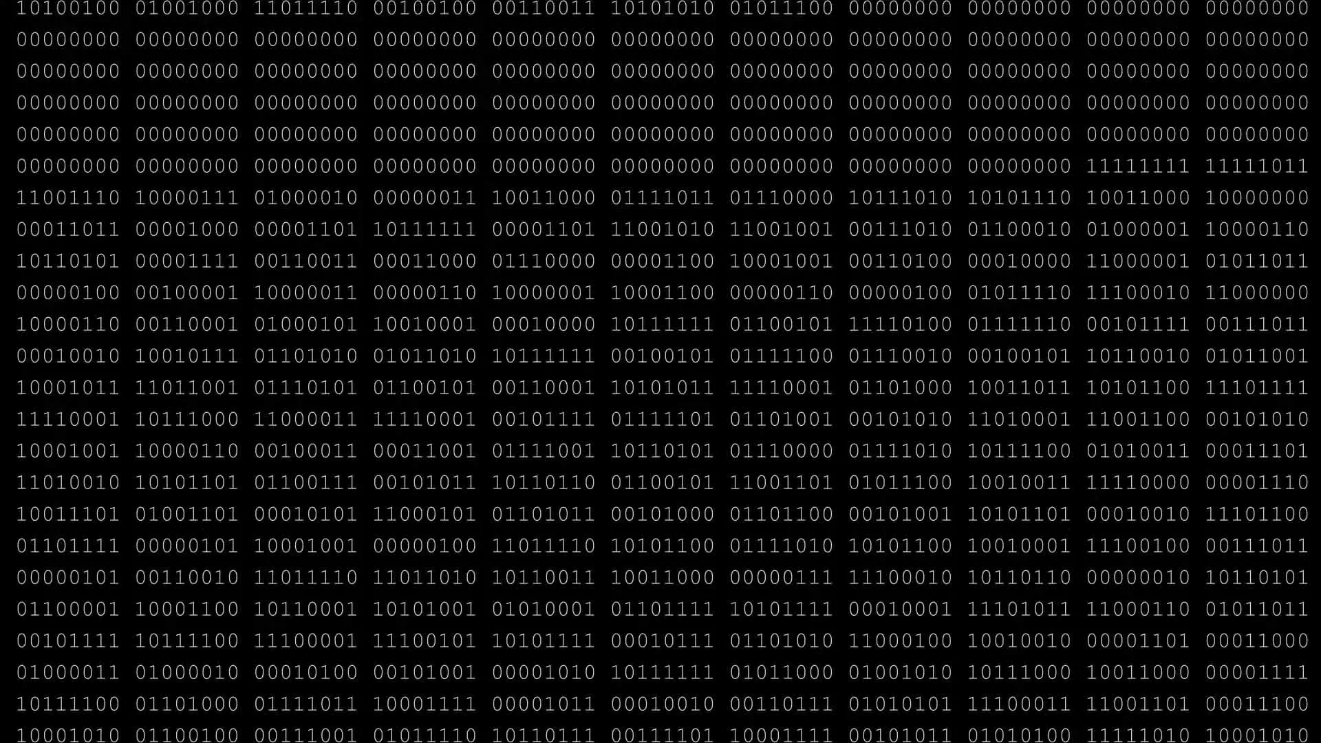 Columns of hex code on black background