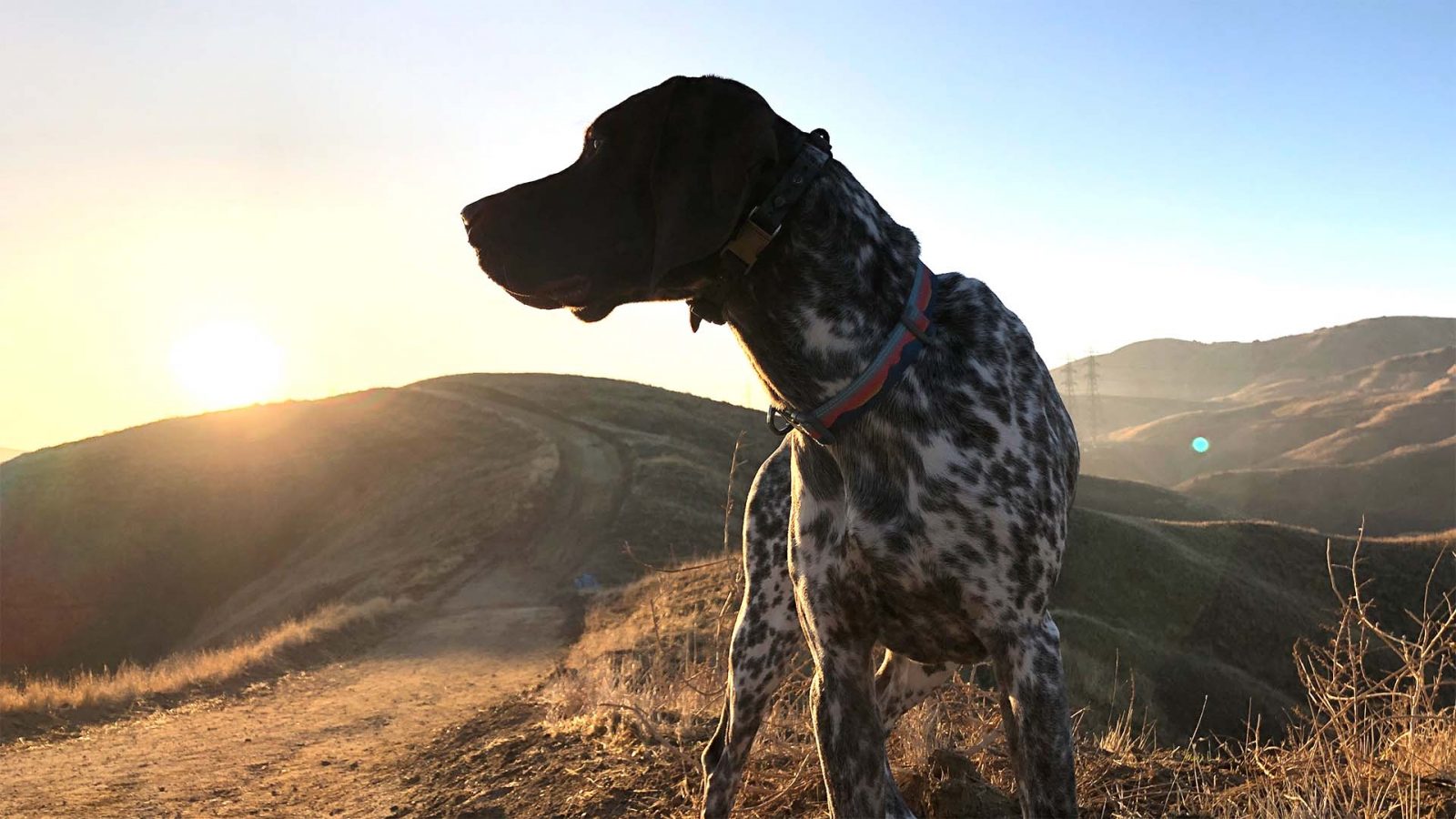 Image with great dynamic range