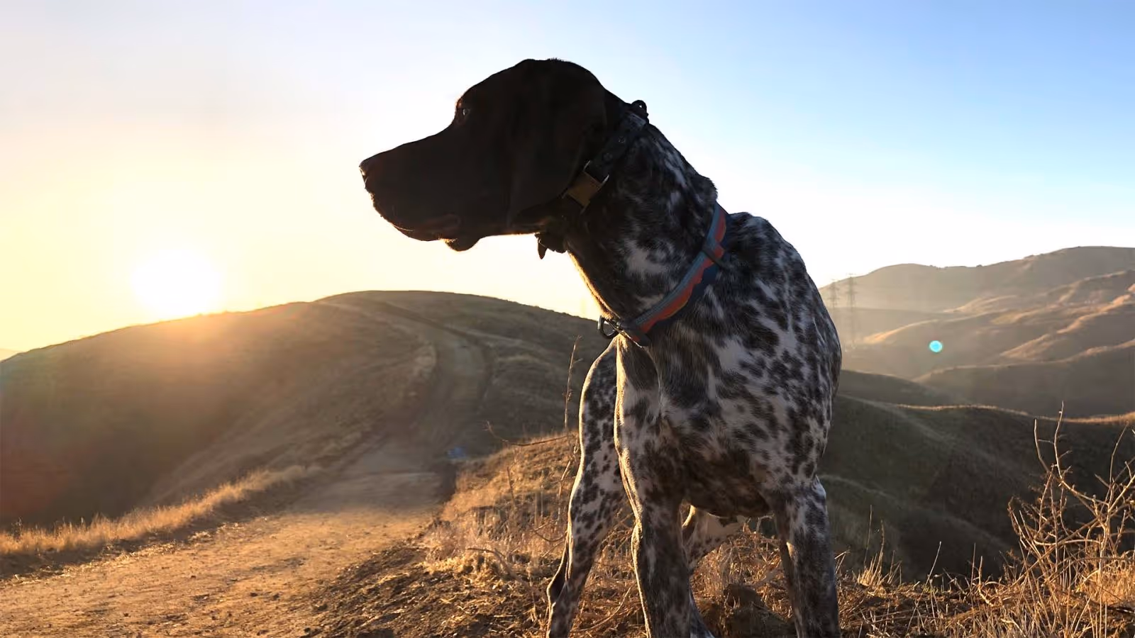 Image with great dynamic range