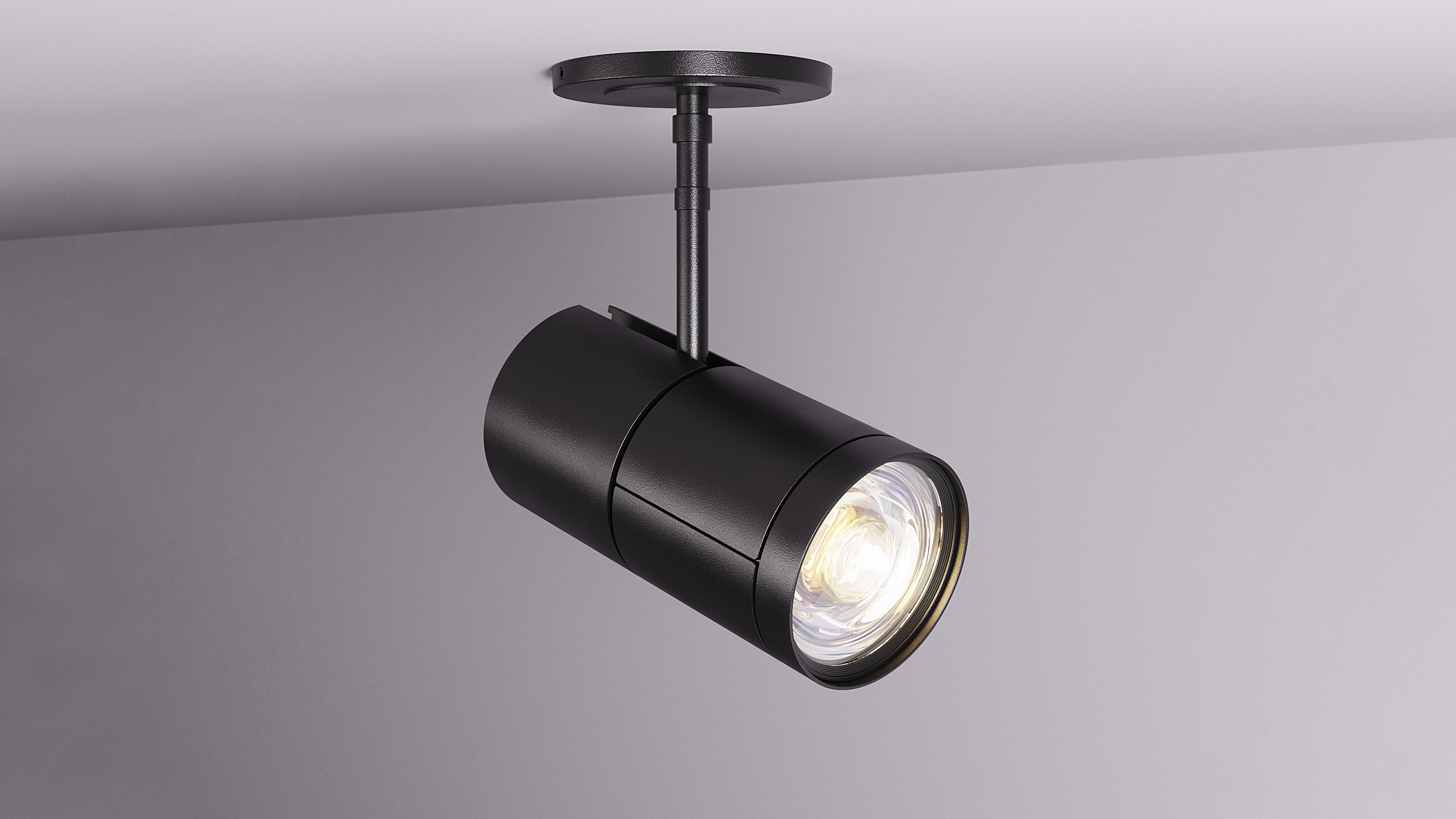 Will Gibbons Spot Light Fixture