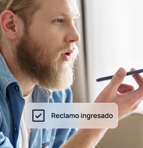 Imagen guía