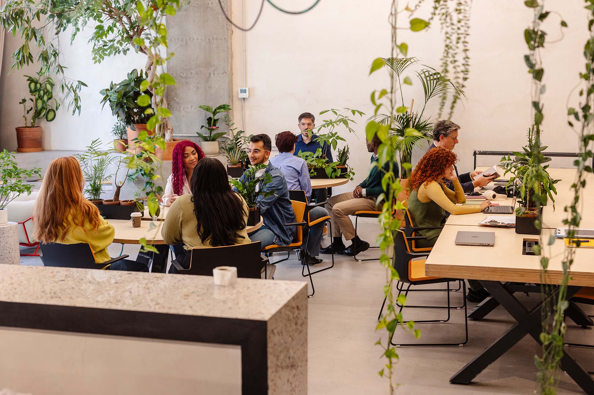 A diverse group of young people working in an bright airy open plan office with a number of plans around.