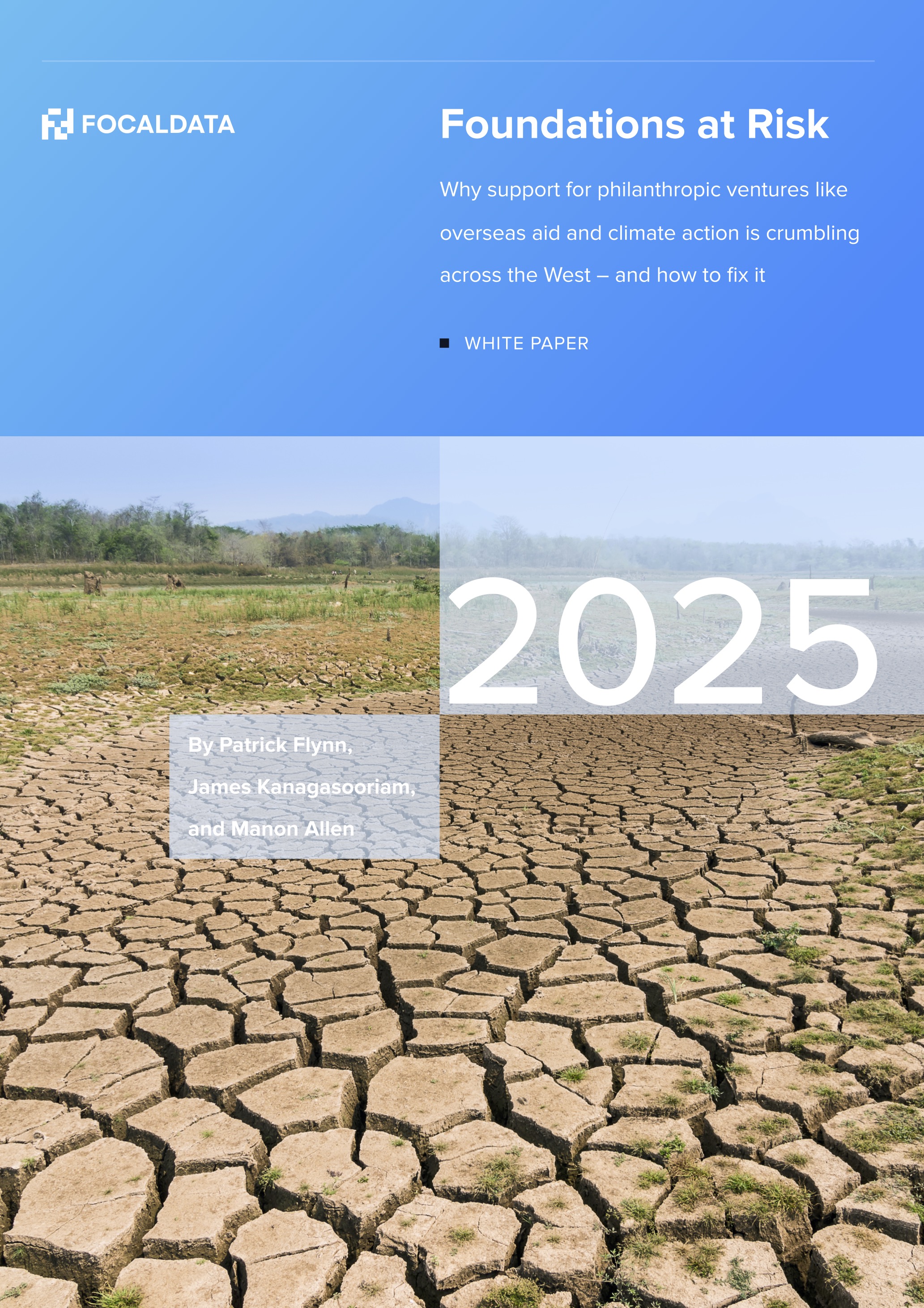 Foundations at Risk white paper cover image