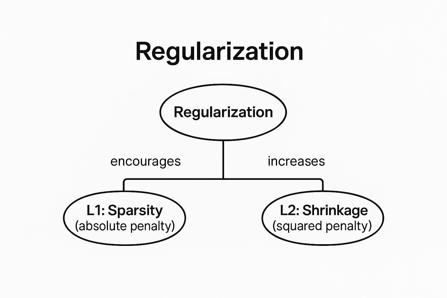 Infographic showing key data about Explain the difference between L1 and L2 regularization