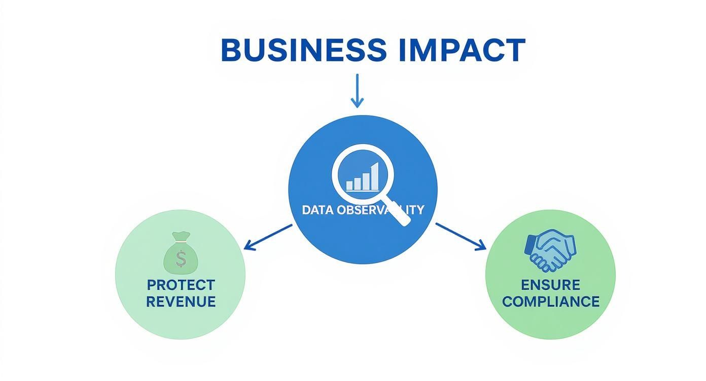 Infographic about what is data observability