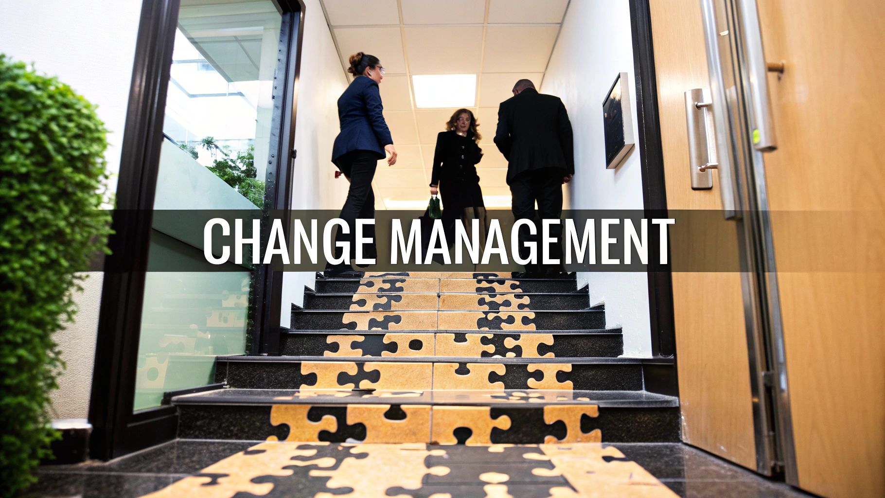 A Practical Guide to Organizational Change Management