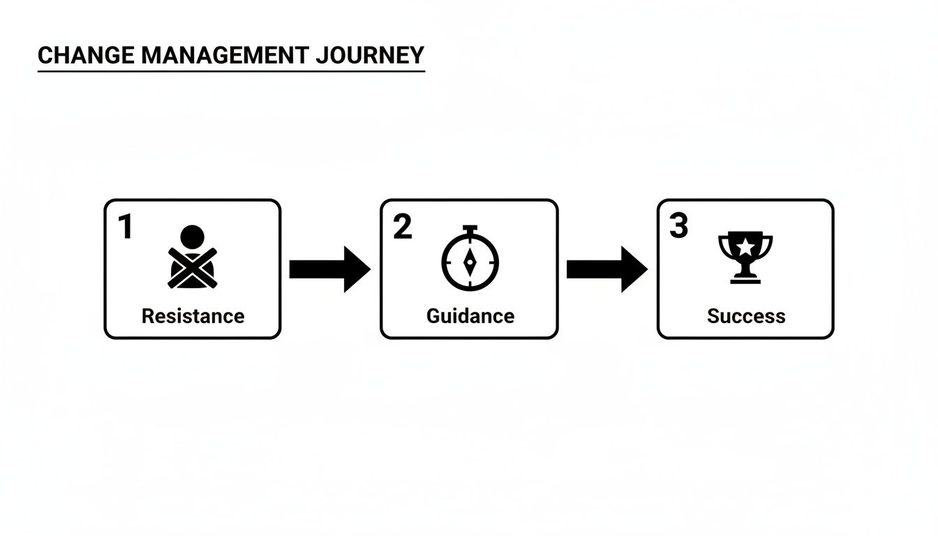 A diagram illustrating the change management journey, moving from resistance through guidance to ultimate success.