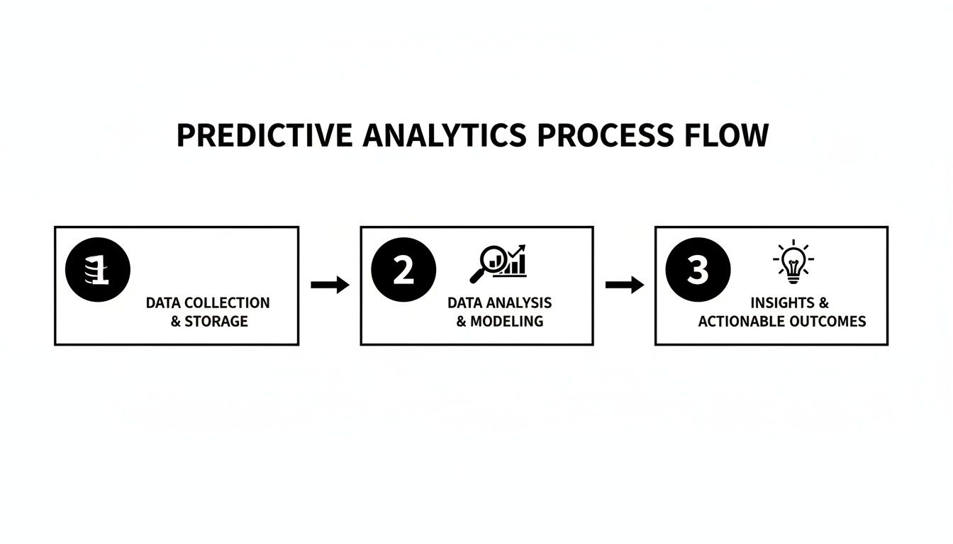 A diagram outlining the three-step predictive analytics process flow, from data collection to insights.