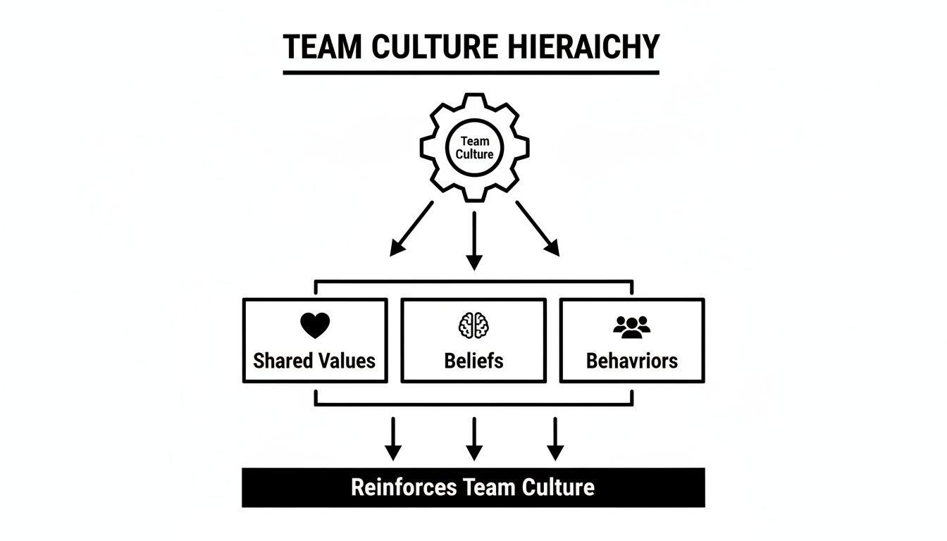 Diagram illustrating the team culture hierarchy, showing team culture influencing values, beliefs, and behaviors.
