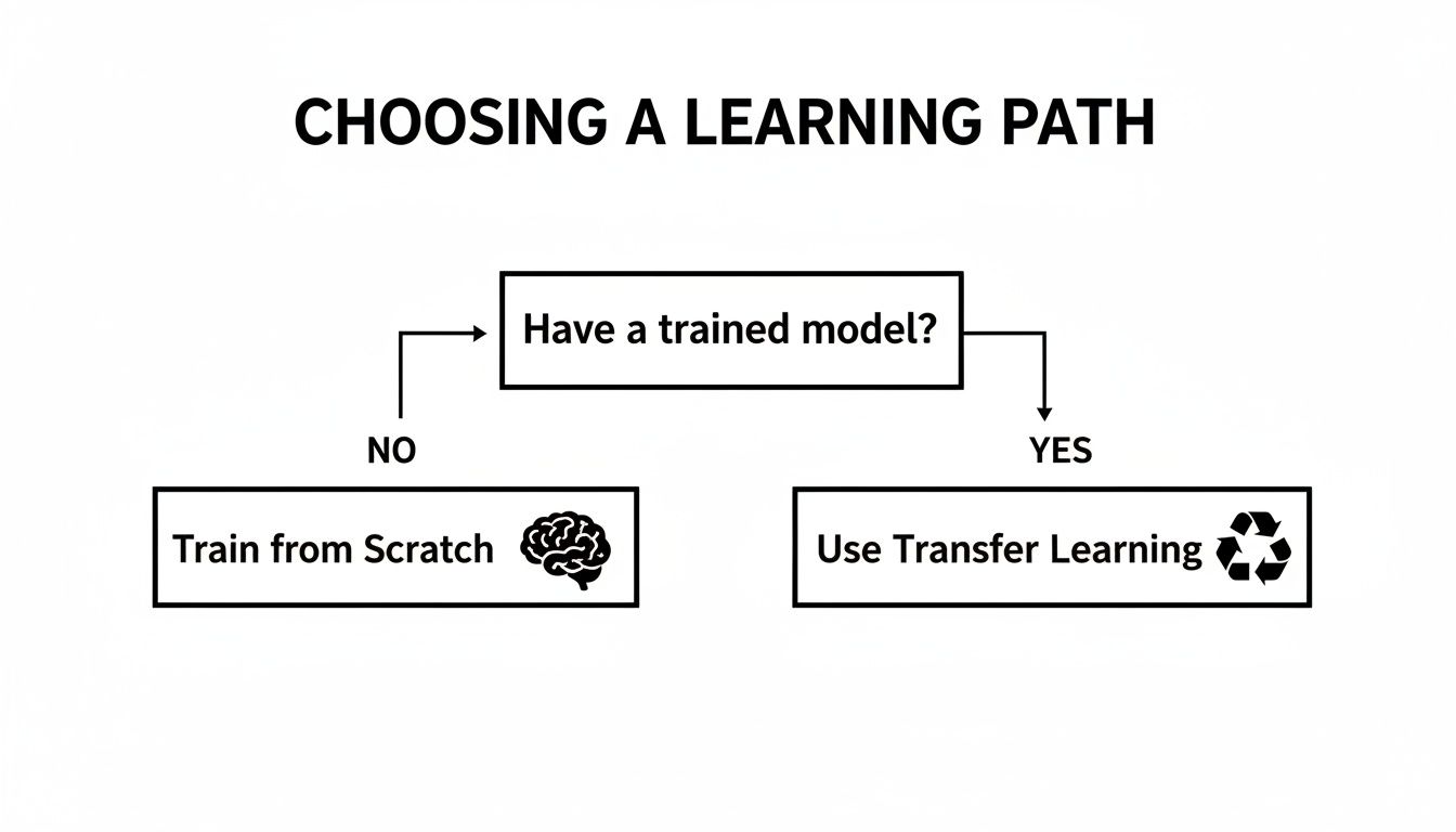 Flowchart illustrating the decision between training a model from scratch or using transfer learning.