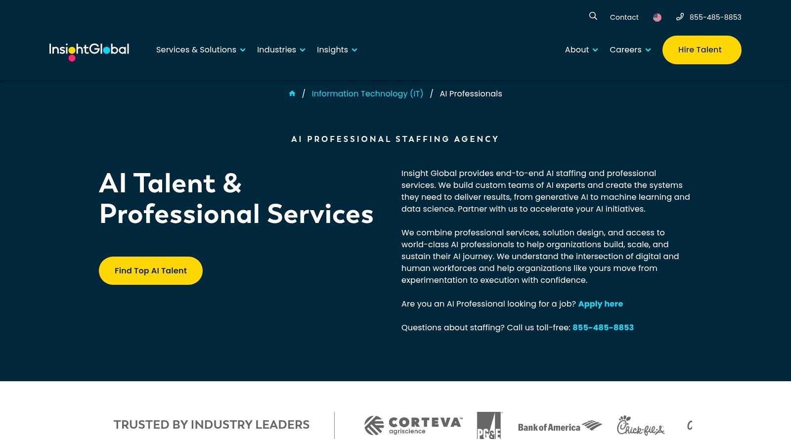 Insight Global (AI Professionals)