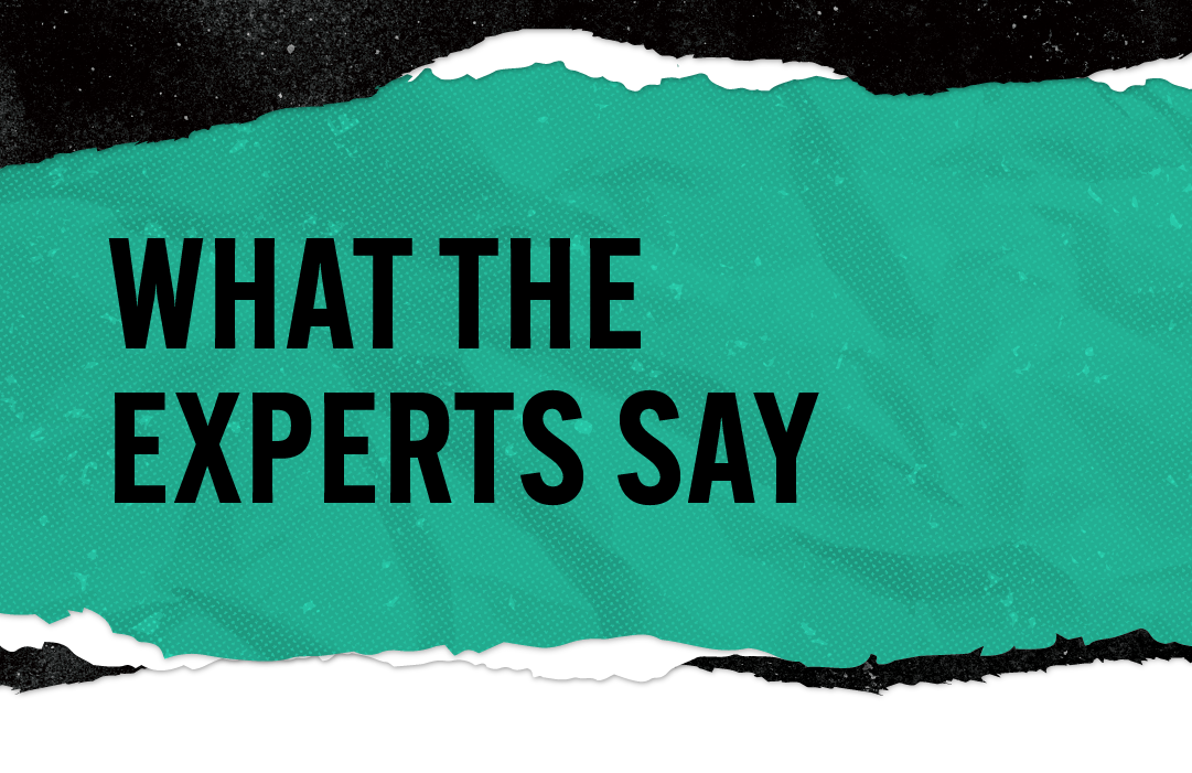 What the Experts Say green and black header graphic for mobile