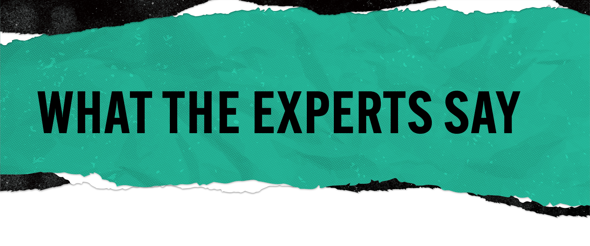 What the Experts Say green and black header graphic