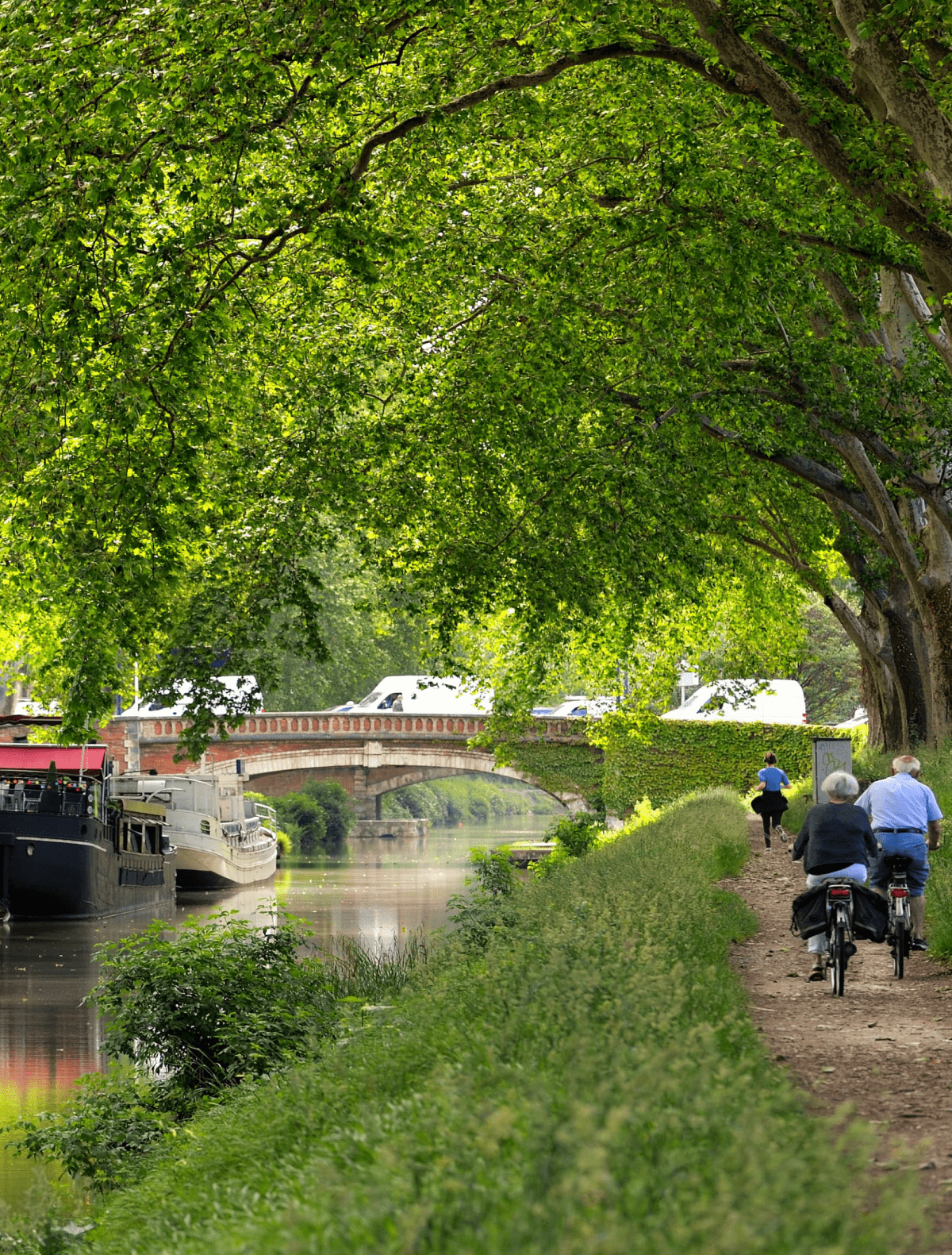 Cycliste sur le parcours du canal du midi à vélo, séjour organisé par l'agence de voyages Belle Allure.