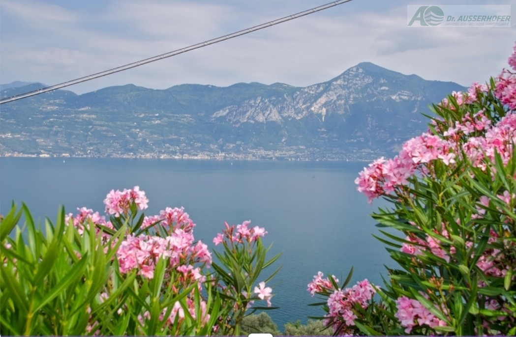 GARDASEE: Villa mit Schwimmbad und 3.000 m² Grund-Olivenhain mit herrlicher Aussicht auf den See - ideal für zwei Familien