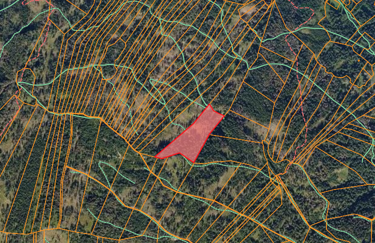 Wald mit 3,78 ha in Welsbergs zu verkaufen. Ideale Lage für Forstwirtschaft & Investment.