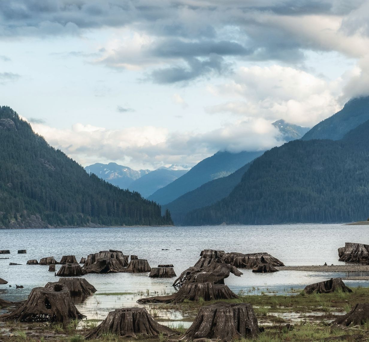Vancouver Island psychological services