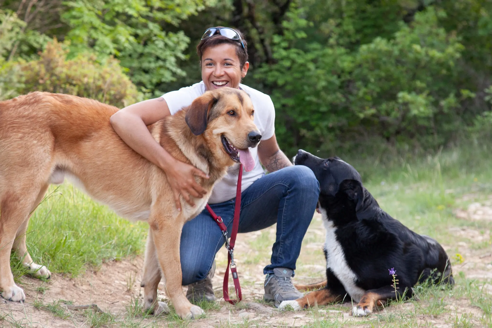 Melissa accroupie avec Maiko et Shogun