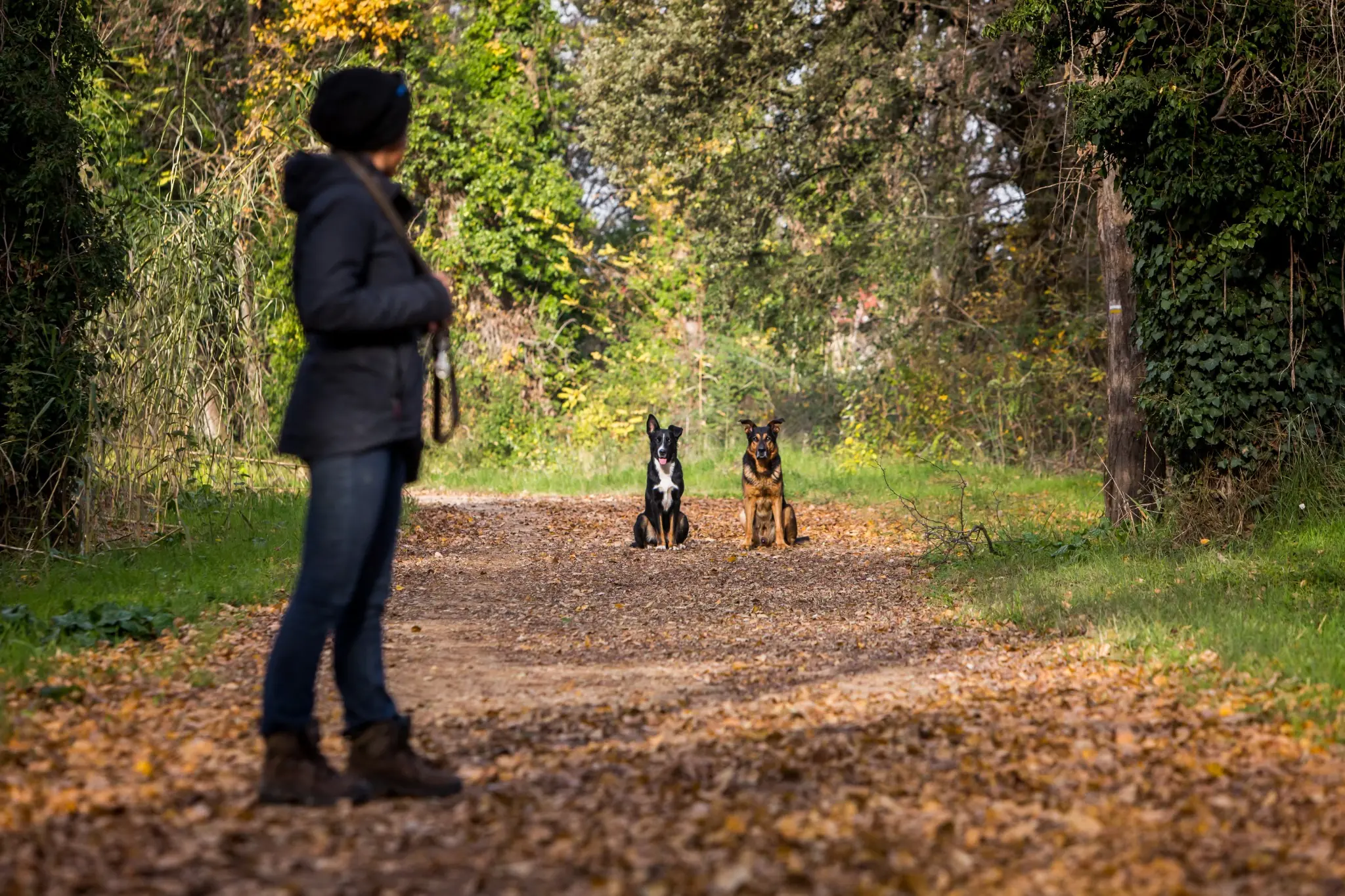 Melissa avec Maiko et Shogun en arrière plan