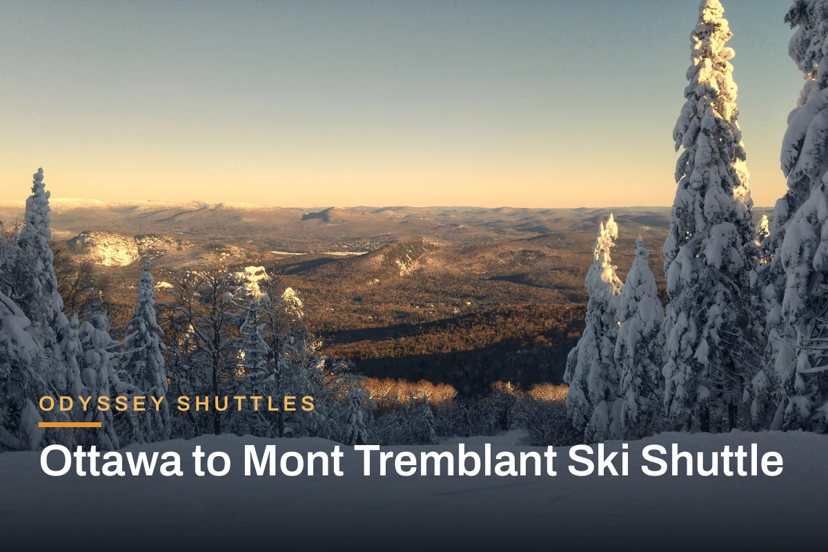 Snow-covered slopes and pines at Mont Tremblant at sunset (photo: ericahan.38, CC BY-SA 4.0, via Wikimedia Commons)