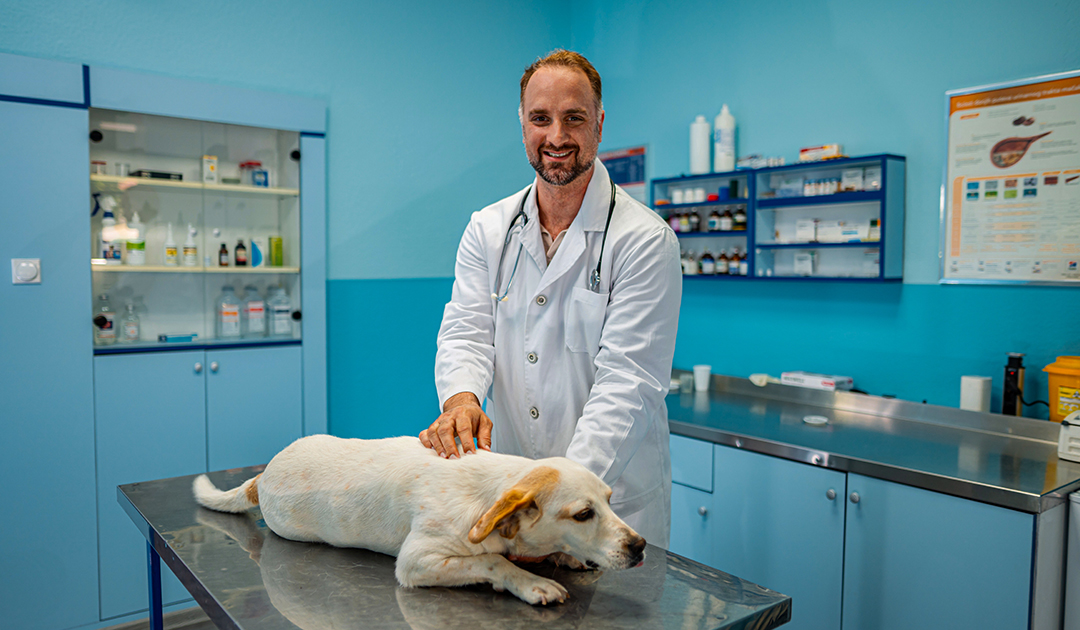 Veterinary Clinic Construction Process