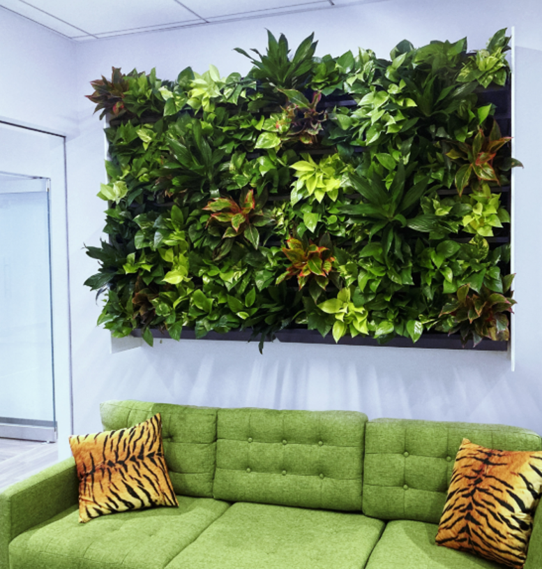 living plant wall installed above a sofa in a Phoenix office lounge