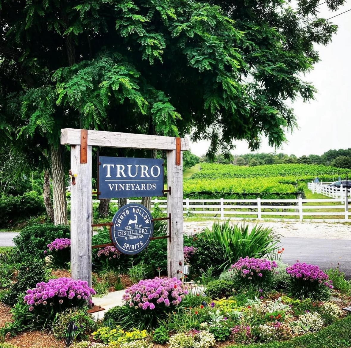 The gorgeous Truro Vineyards lot in Truro MA.