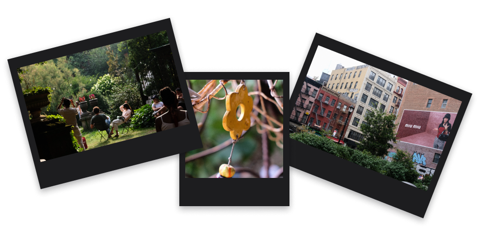 Image of Polaroid Shots