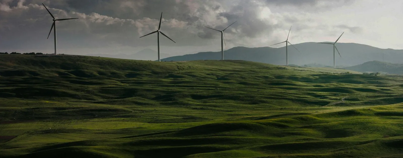 Planen Service Angeln Windpark