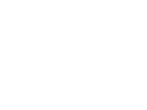 Adjust icon
