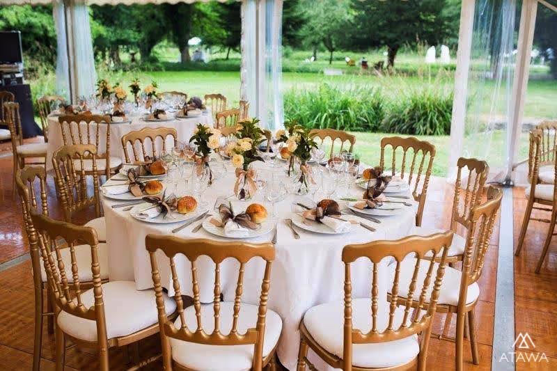 Mariage en plein air en Île-de-France : une cérémonie en harmonie avec la nature