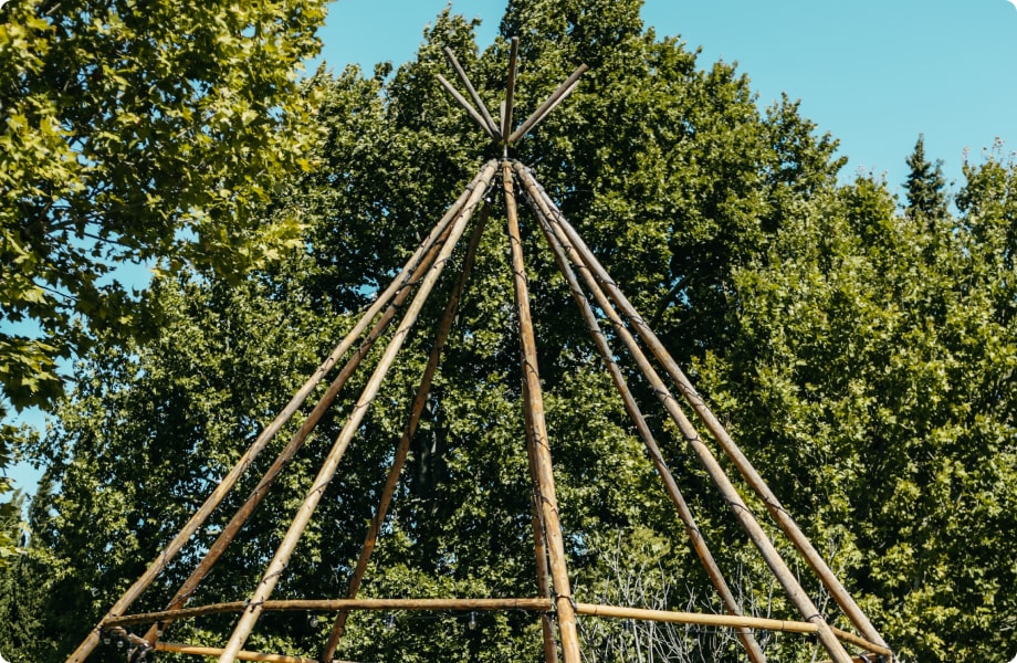 Naked Tipi - Armature