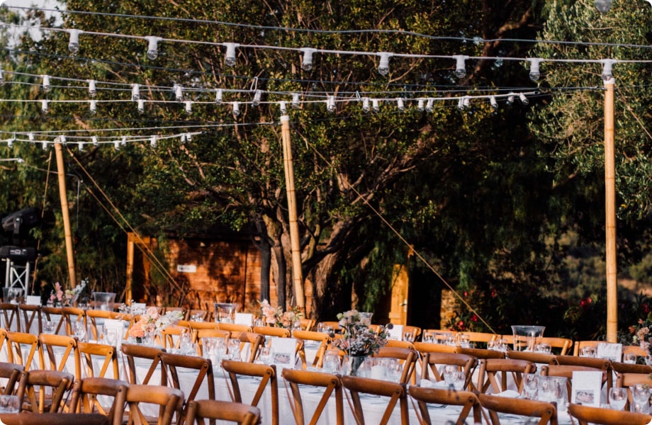 Plafond de Guirlandes - Armature