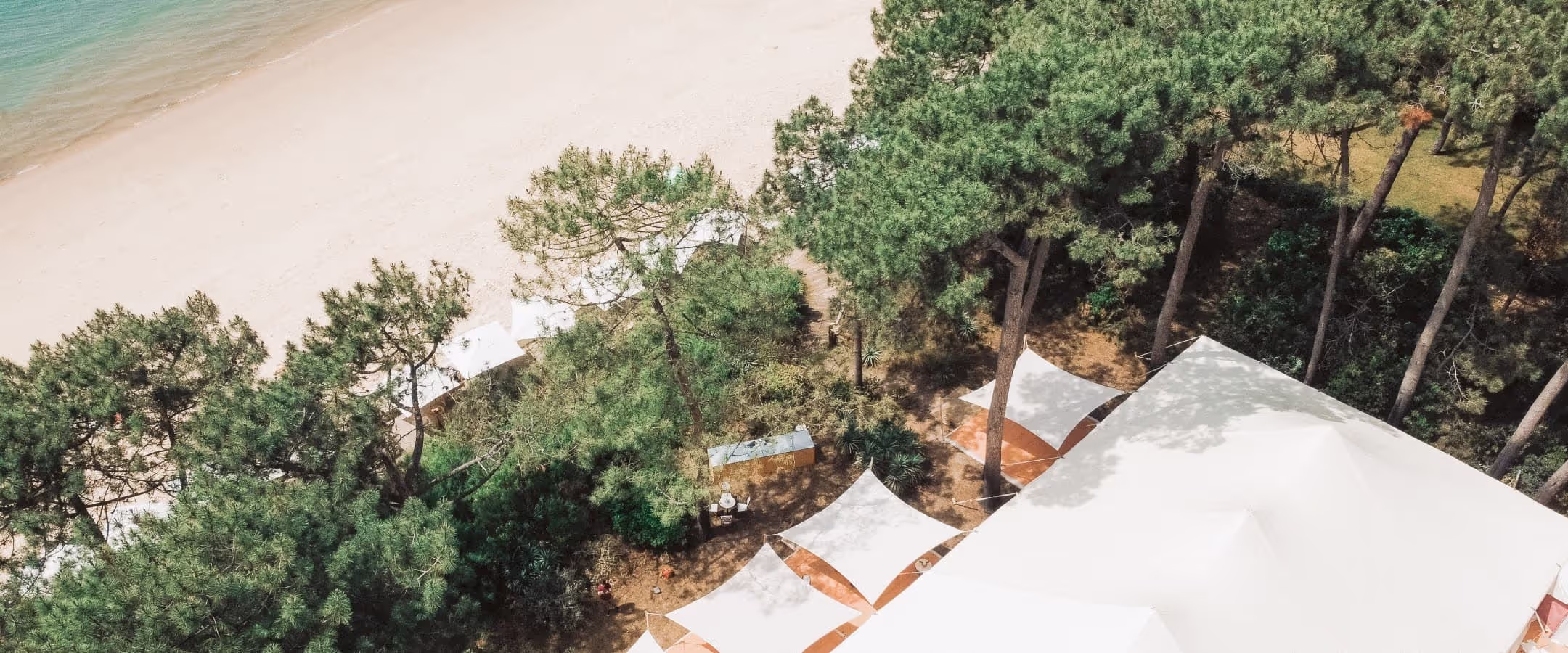 Garden party: Organize a reception on the Bassin d'Arcachon