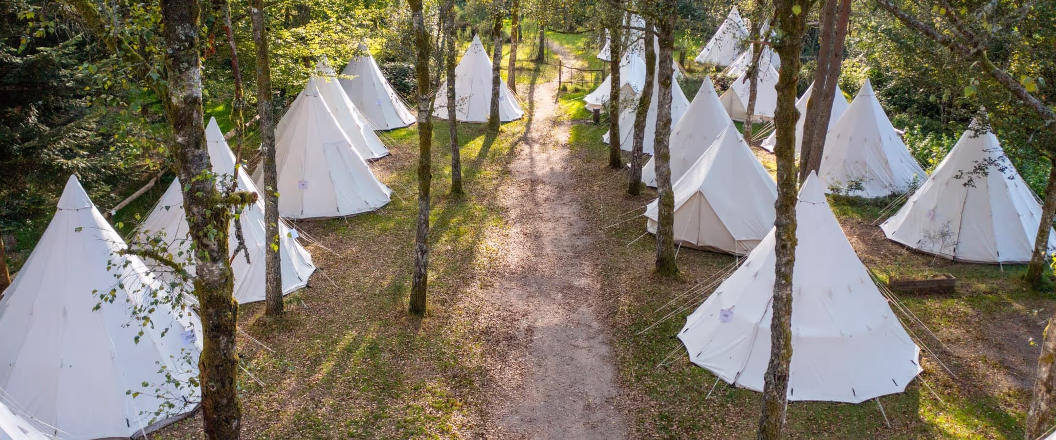 Outdoor seminar in Nouvelle-Aquitaine : complete guide