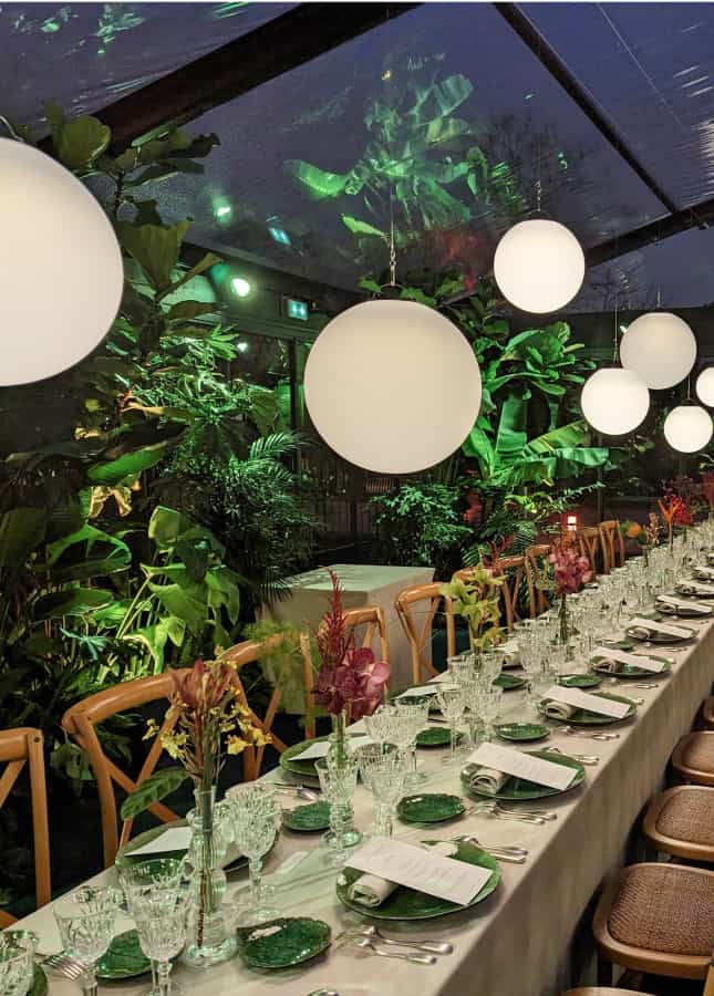 Animations RSE pour Noël en entreprise