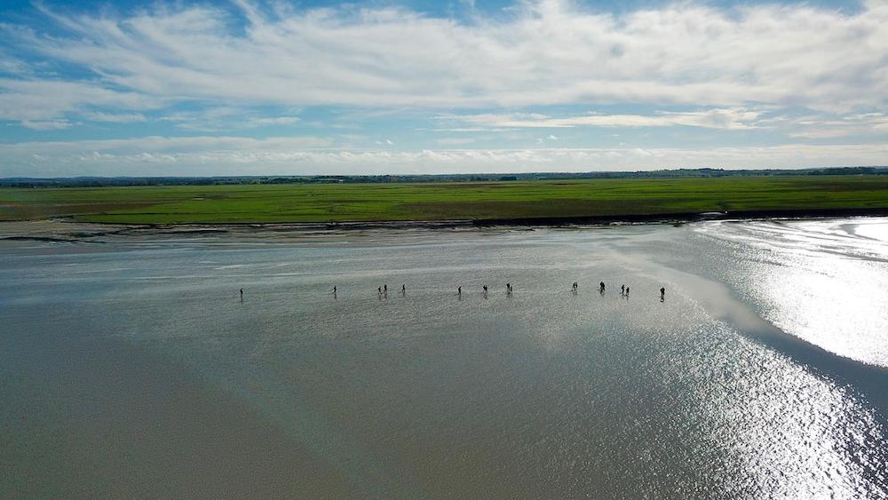organisation séminaire écoresponsable