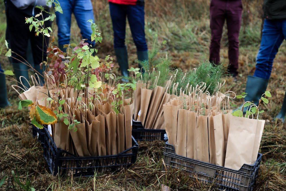 conseils pour organiser un séminaire vert