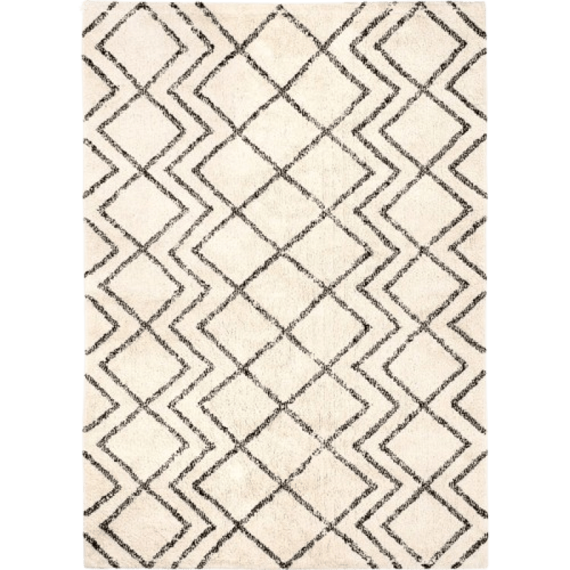 Furniture rental : Berber Carpet