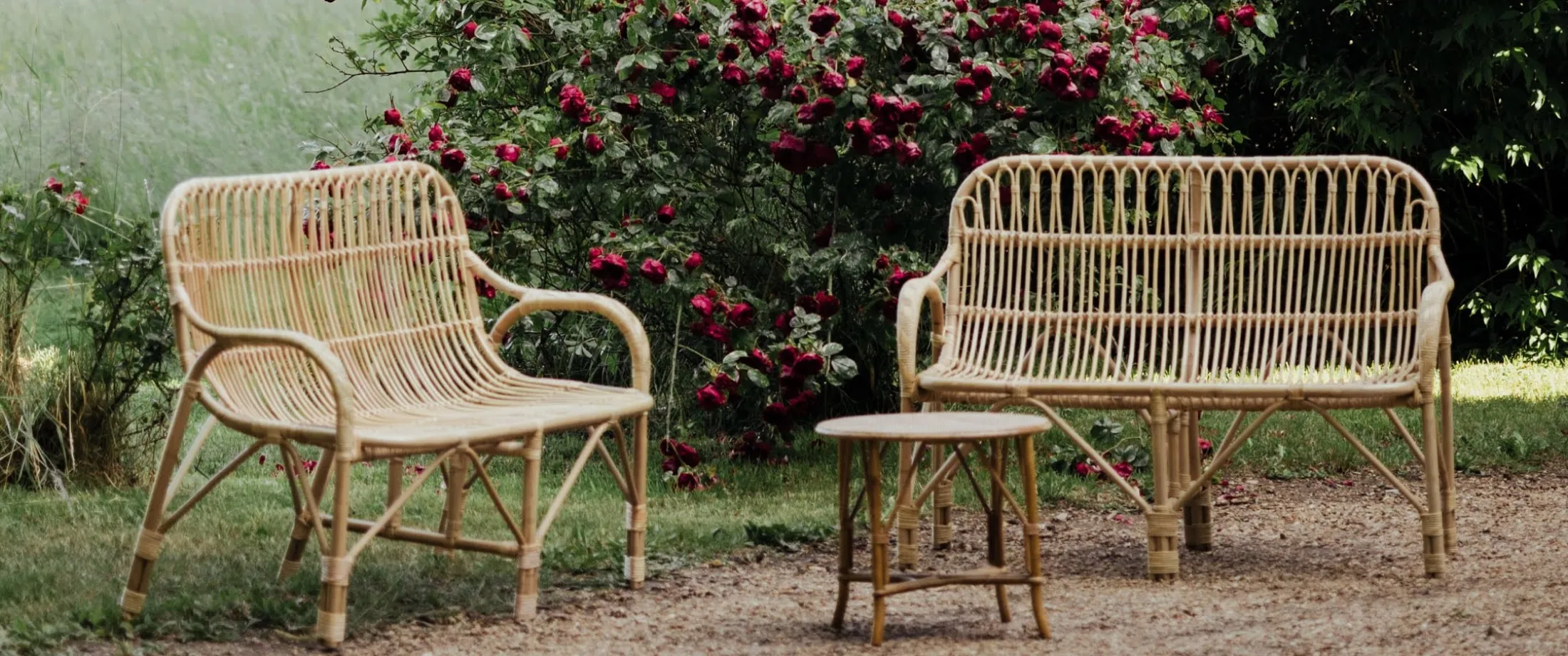 Furniture rental : Rattan Furniture