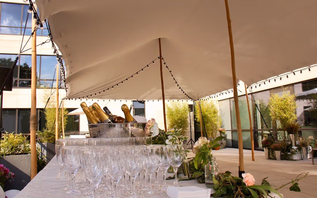 Garden party in Neuilly