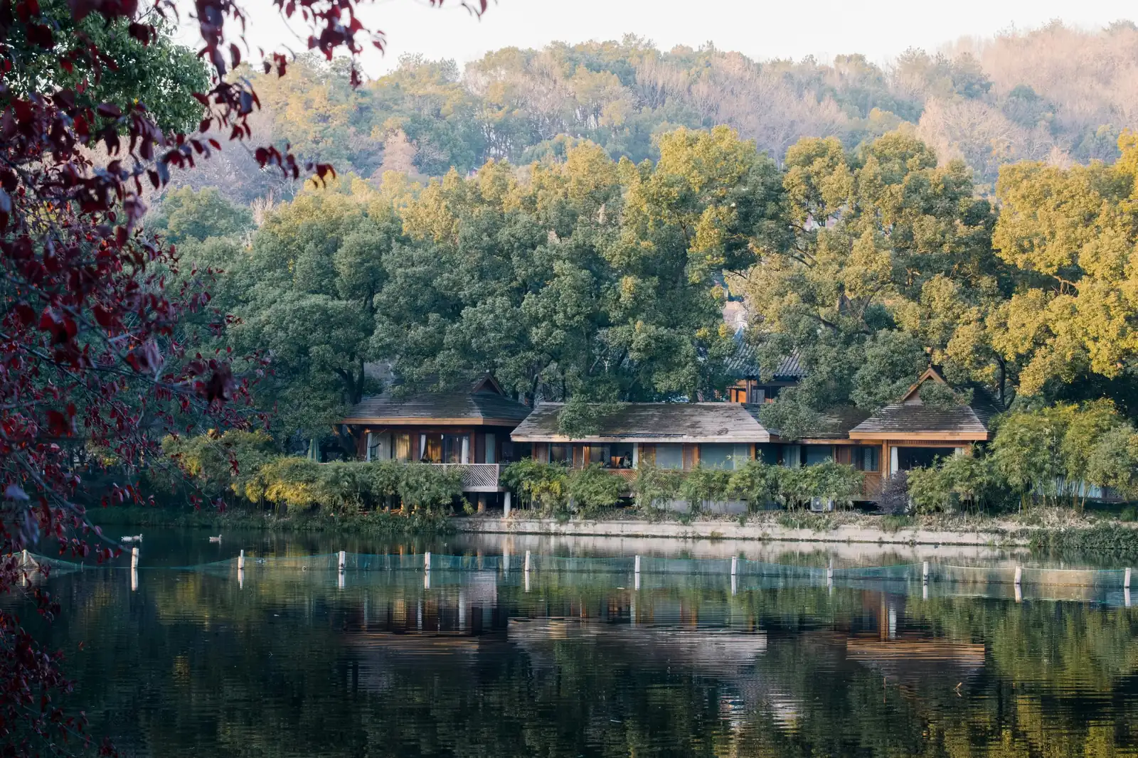 Vedere aeriana asupra unei gradini clasice chinezesti, cu pavilioane, poduri in zigzag si iaz cu nuferi. Foto: Yilei (Jerry) Bao / Unsplash