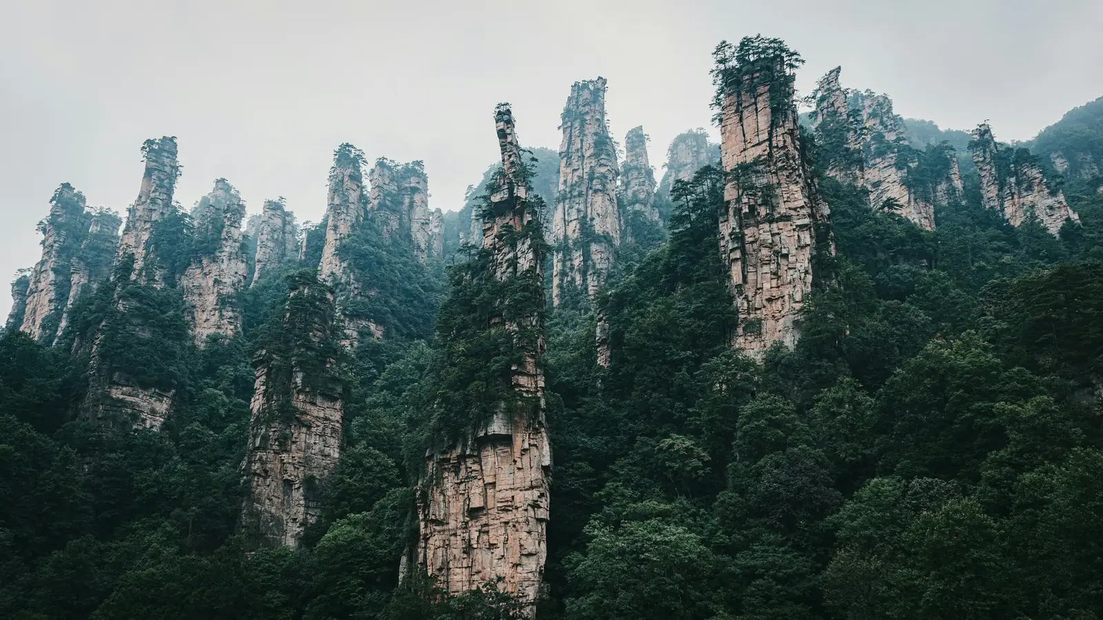 Stalpi inalti de gresie acoperiti de pini in Parcul National Zhangjiajie, deasupra unei paduri dese. Foto: Tao Yuan / Unsplash