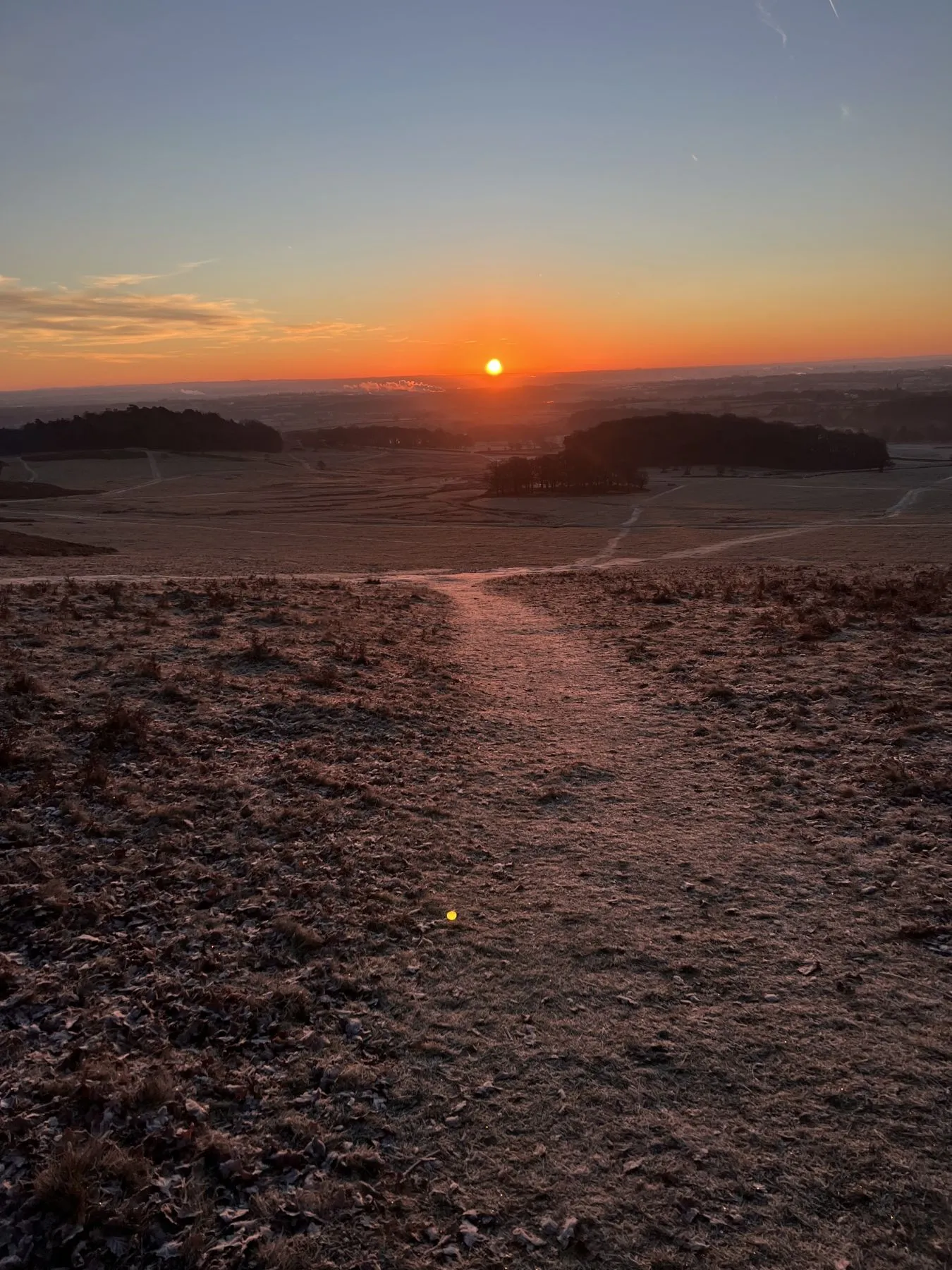 Sunrise over Bradgate Park